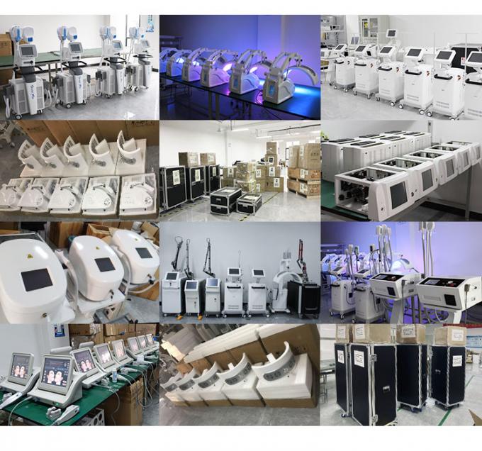 800w 한랭요법 얼굴 기계 -20c 한랭요법 짐머 피부 냉각 기계 14