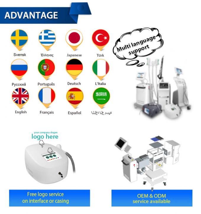 800w 한랭요법 얼굴 기계 -20c 한랭요법 짐머 피부 냉각 기계 16