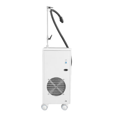 800w 한랭요법 얼굴 기계 -20c 한랭요법 짐머 피부 냉각 기계