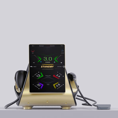 얼굴 및 신체 치료용 RF 기계와 함께 22d max hifu