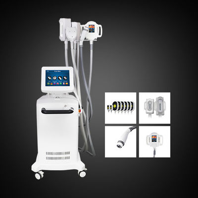 4500W 노력은 1대 크리올리폴리시스 슬리밍 기계에서 4를 자유롭게 합니다