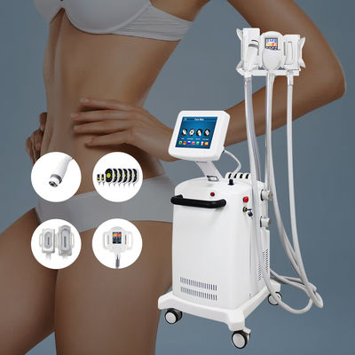 5 1개의 체중 감소에 대하여 Cryolipolysis 지방 동결 슬리밍 기계