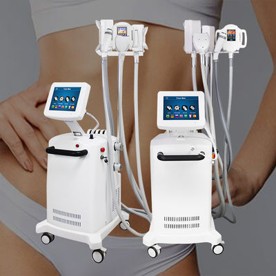 Cryolipolysis 지방 용해 기계 360도