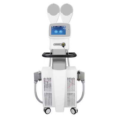 몸 조각을 위해 기계 ISO13485를 가늘게 하는 EMS