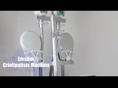 저온 호리호리한 크리올리폴리시스 기계 EMS 크리올리폴리시스 히에엠티 살찐 동결 몸 재성형